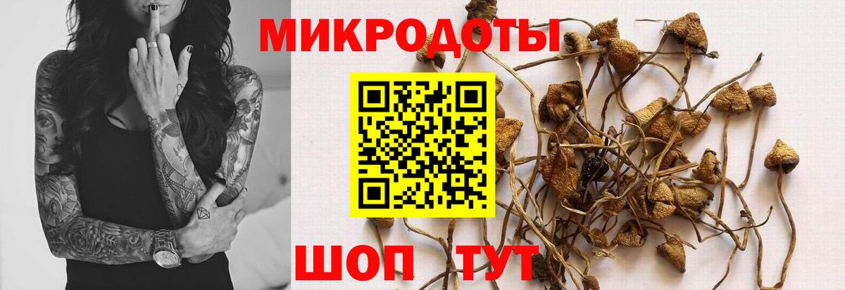 Псилоцибиновые грибы ЛСД  Вход с VPN  Можайск 
